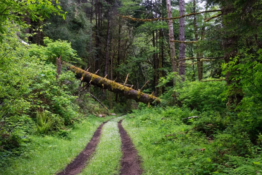 atv-trail