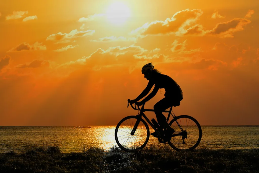 cyclist, bicycle racing cyclist, sport, training, exercise, speed, nature, wheel, spoke, sunset, people, woman in Sonoma County Wine Country