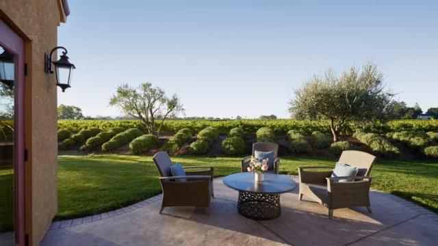 overlooking-the-lavender