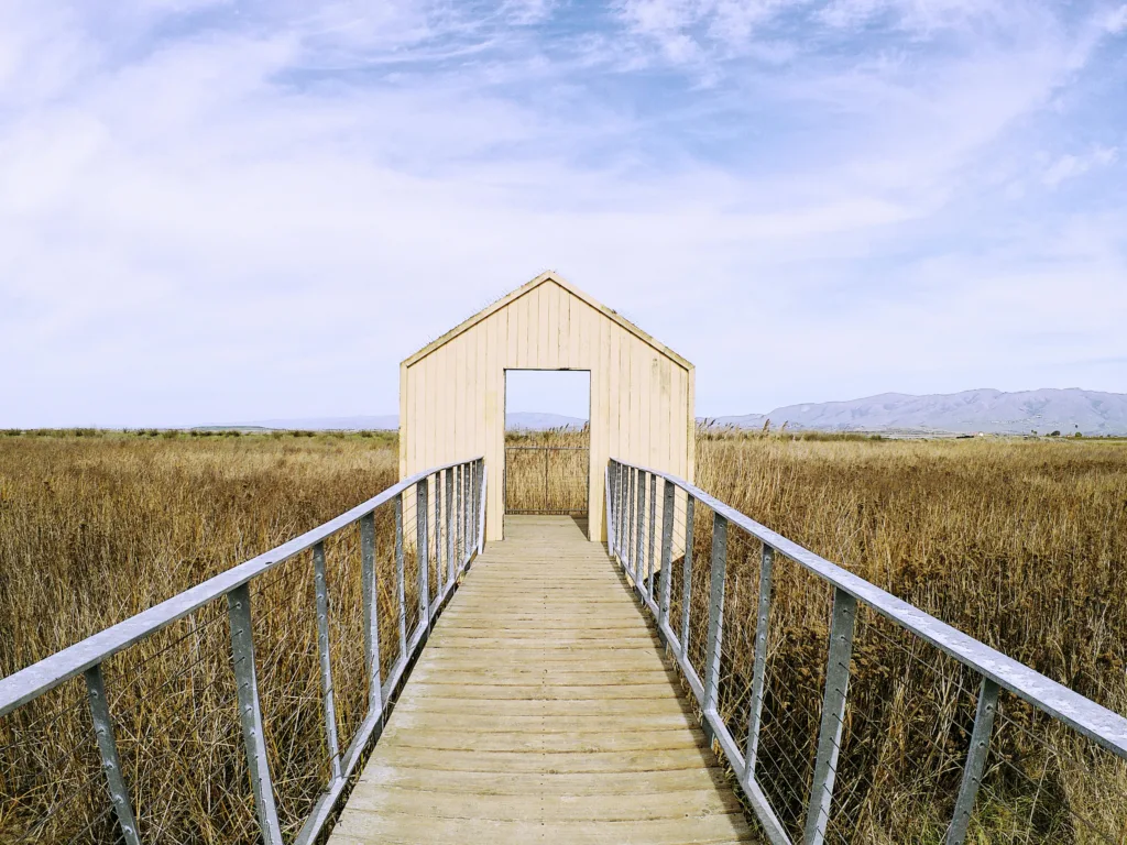 A minimalist wooden boardwalk crossing the wetlands in San Jose, California retreat near me.