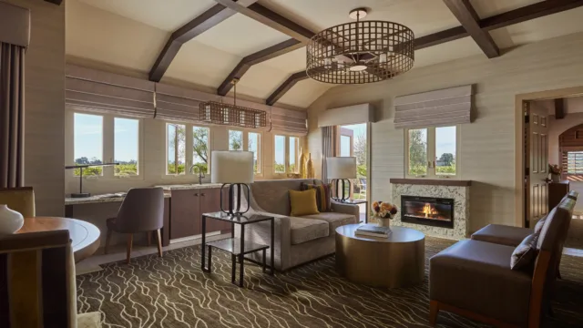 the-spacious-living-room