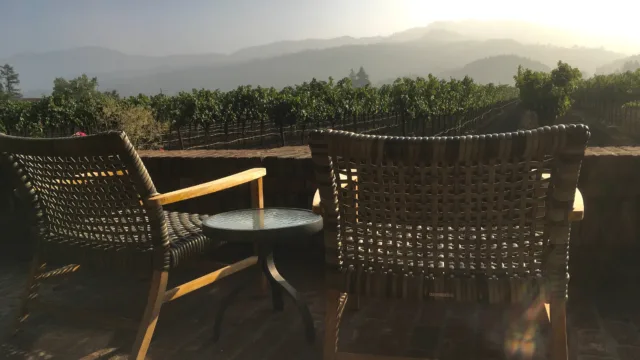 view-from-the-patio-there