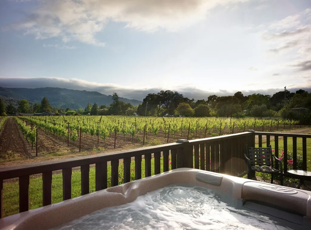 vineyard-view-collection