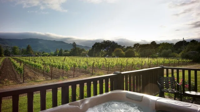 vineyard-view-collection