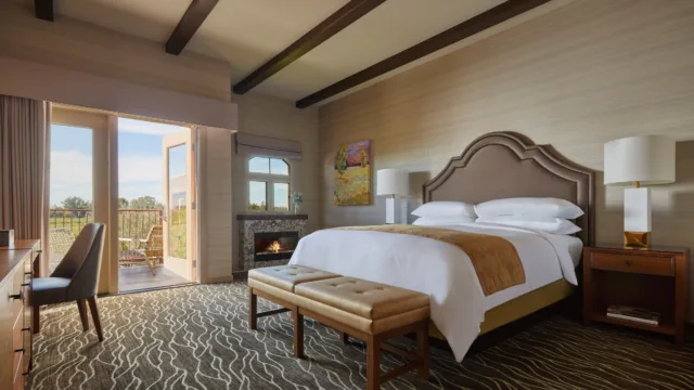 vineyard-view-fireplace