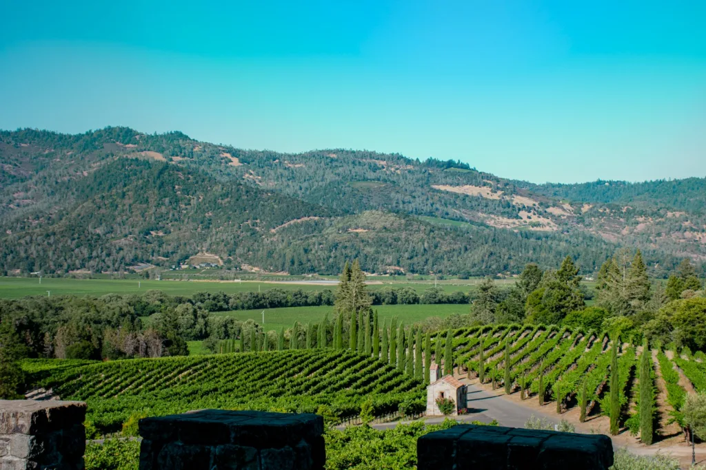 green grass field and trees during daytime from Best Yoga Retreats in Northern California