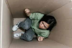 flexible accessible emotional learning